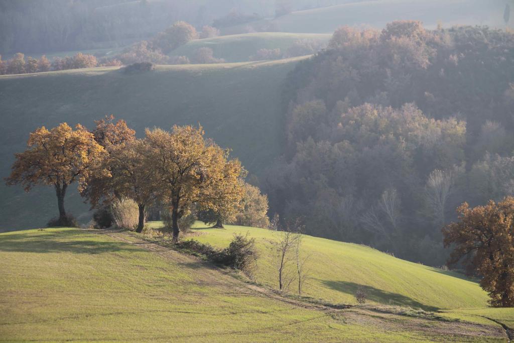 L'Isola Che Non C'Era Villa Apiro Exterior foto